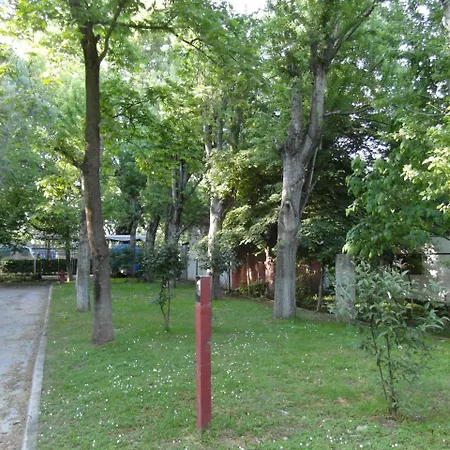 Orpheus * نيوز  بانتيليموناس