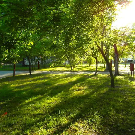 Orpheus نيوز  بانتيليموناس