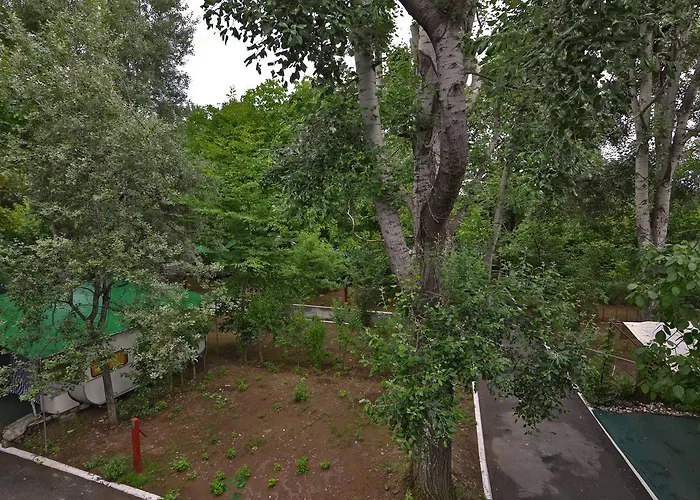 Orpheus * 内奥斯潘特雷蒙纳斯