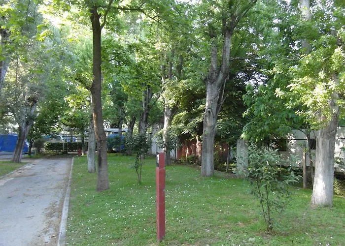 Orpheus * 内奥斯潘特雷蒙纳斯