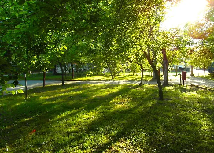 Orpheus 内奥斯潘特雷蒙纳斯