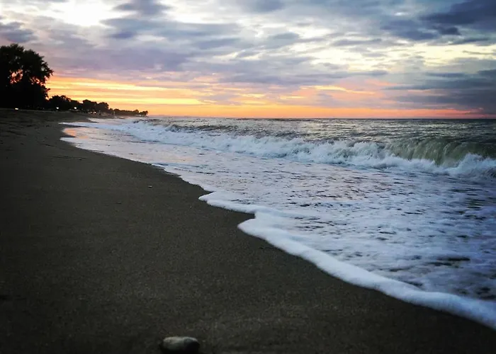 Orpheus * 内奥斯潘特雷蒙纳斯